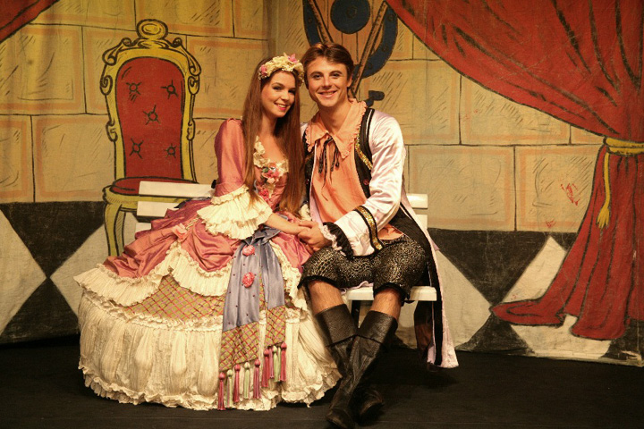 O Šípkové Růžence