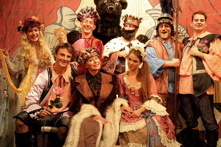 O Šípkové Růžence