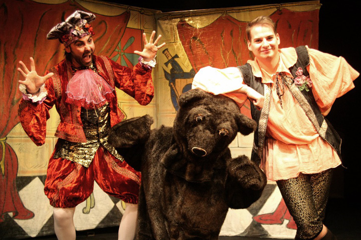 O Šípkové Růžence