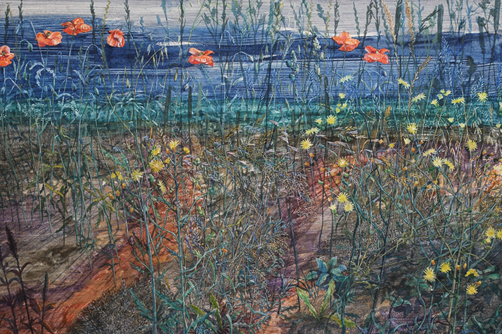 MARTIN ZÁLEŠÁK / ZÁZNAMY RŮSTU / kresby, obrazy