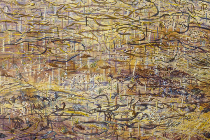 MARTIN ZÁLEŠÁK / ZÁZNAMY RŮSTU / kresby, obrazy