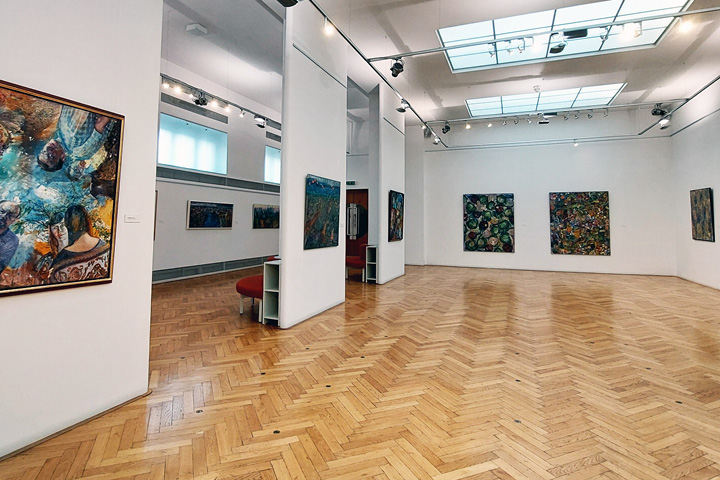 MARTIN ZÁLEŠÁK / ZÁZNAMY RŮSTU / kresby, obrazy