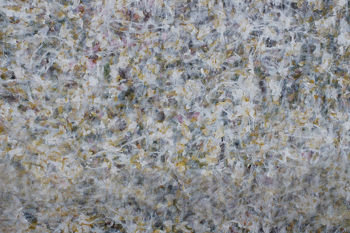 JANA BUDÍKOVÁ / HOUŠTINY PAMĚTI