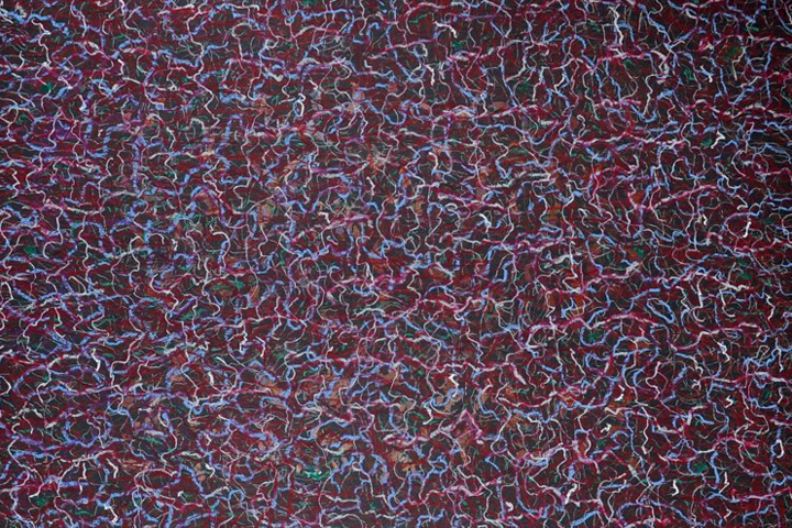 JANA BUDÍKOVÁ / HOUŠTINY PAMĚTI