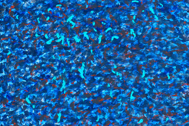 JANA BUDÍKOVÁ / HOUŠTINY PAMĚTI