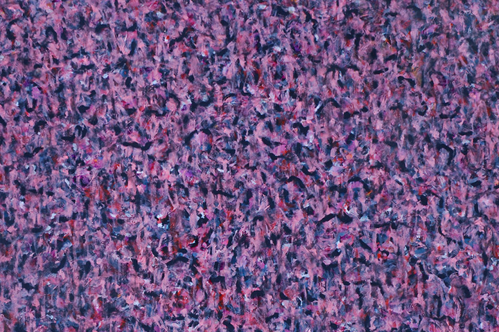 JANA BUDÍKOVÁ / HOUŠTINY PAMĚTI