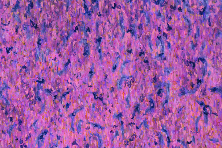 JANA BUDÍKOVÁ / HOUŠTINY PAMĚTI