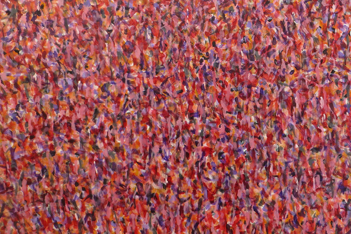 JANA BUDÍKOVÁ / HOUŠTINY PAMĚTI