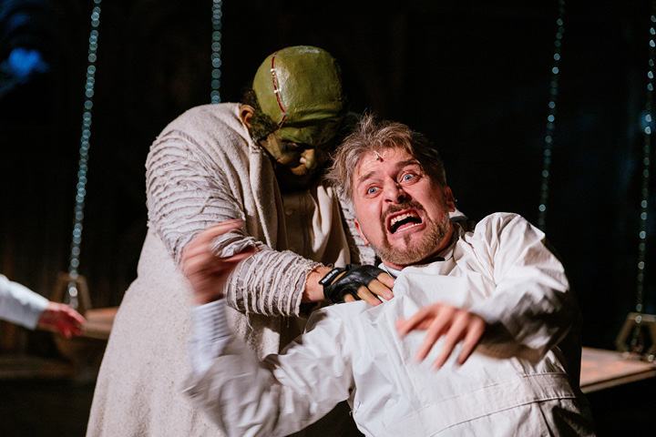 Mladý Frankenstein