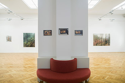 Galerie města Kolína